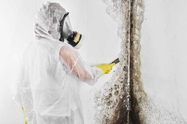 Crawl Space Mold Removal in Fairlawn, OH