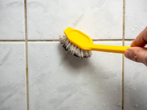 Mold Removal Process in Fairlawn, OH