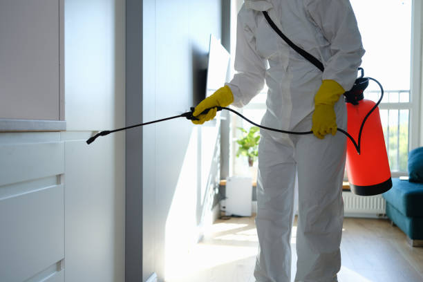 Home Mold Removal in Fairlawn, OH