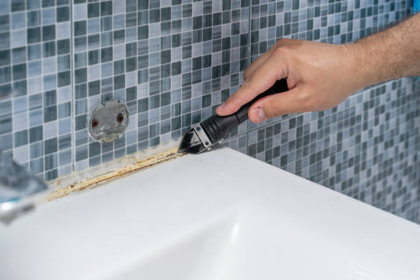 Best Affordable Mold Removal  in Fairlawn, OH